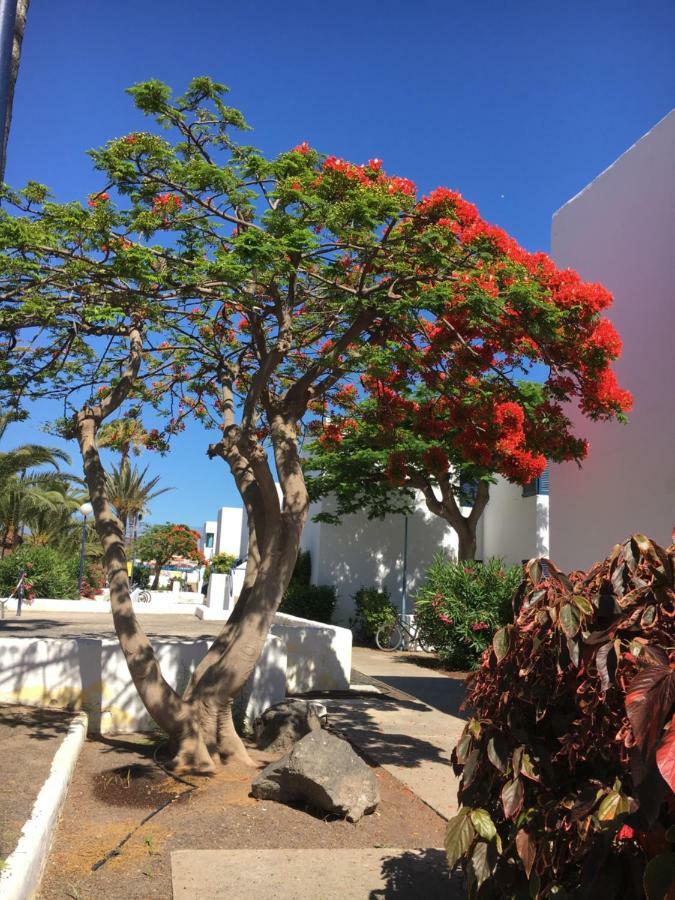 Los Barqueros Corralejo "Beach Front - Town Centre" Экстерьер фото